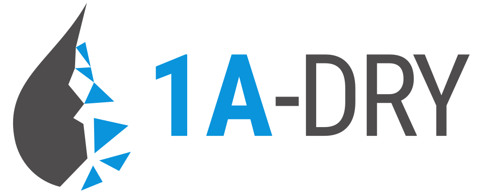 1A DRY Logo